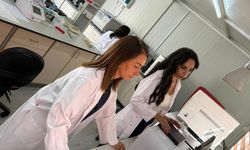 Piyasada zeytin yağı denetimi.. 1 ürün tağşişli