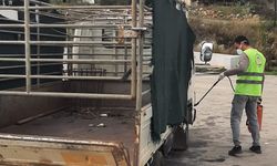 Erenköy-Karpaz Belediyesi, şap hastalığına karşı önleyici tedbirleri hayata geçirdi