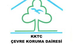 Yılbaşı akşamı için ek izne gerek kalmaksızın müzik izinleri geçerli olacak