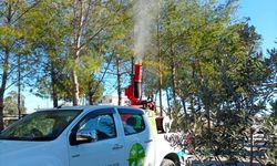 Mesarya Belediyesi çam kese böceğine karşı ilaçlama çalışmalarını tamamladı