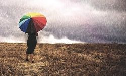 Yağış miktarları