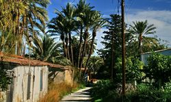 Lefke'de yaşanan alt yapı, çevre ve kent estetiği sorunlarına dikkat çekildi