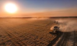 Hava kirliliği kötüleşmesi nedeniyle Hindistan'da solunum yolu hastalığı vakaları 200 bini aştı