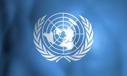 BM: "Myanmar'da haşhaş yetiştiriciliği son 10 yılın en yüksek seviyesinde"