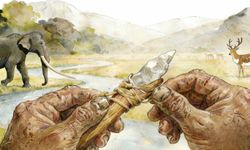 Çin'de bulunan 160 bin yıllık aletler mevcut teorileri sarsıyor