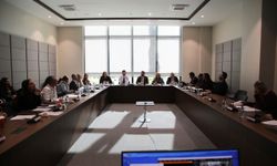 İdari, Kamu ve Sağlık İşleri Komitesi toplandı