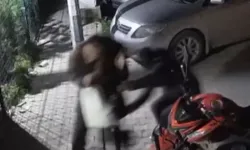 Pusu kurup defalarca kurşun yağdırdı