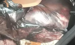 Gazimağusa’da 800 kg kaçak et ele geçirildi
