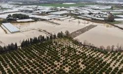 'Sarı kod'la uyarılan Antalya'da tarım alanları su altında kaldı