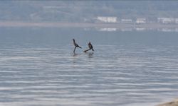 Sapanca Gölü'nde su seviyesi son yağışlarla 8 santimetre arttı
