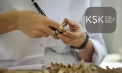 Kayıp Şahıslar Komitesi’ne Macaristan’dan 20 bin Euro bağış