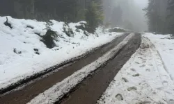 Doğu Anadolu’da kar ulaşımı vurdu: 4 ilde 530 yerleşim yerinin yolu kapalı