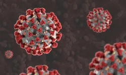 Araştırma: Ölümcül mantar enfeksiyonlarına karşı yeni bir yöntem bulundu