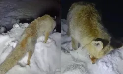 Yıllarca anlatılan efsane gerçek oldu