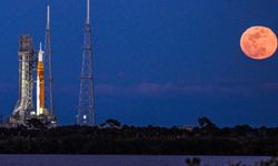 Bilim insanlarından "uzayda üreme" çağrısı: "Acil işbirliği gerekli"