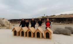 DAÜ Halkla İlişkiler ve Reklamcılık Bölümü öğrencilerinden sokak hayvanlarına yardım