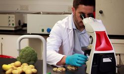 Haftalık gıda denetimleri… 3 üründe limit üstü bitki koruma ürünü tespit edildi