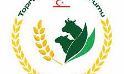 TÜK yemlik arpanın çarşambe günü gelmesinin beklendiğini açıkladı