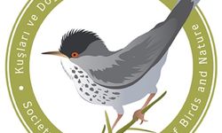 KUŞKOR İnce Av'ın mart ortasına uzatılmasının yaban hayata zarar vereceği uyarısında bulundu