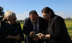 Tarım Bakanı Çavuş babutsada görülen koşnille mücadelede umut verici gelişme kaydedildiğini söyledi