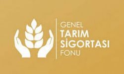 Mavi Dil hastalığından zarar gören üreticilere tazminat ödendi