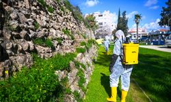 LTB, surlarda temizlik ve ilaçlama çalışmalarına devam ediyor