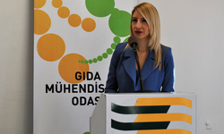 Gıda Mühendisleri Odası: Gıda denetimleri, gıda mühendislerinin katkısıyla yapılmalı