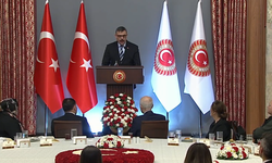 Çiftçi: "Kıbrıs Türk halkının mücadelesi ile Anadolu'nun istiklal mücadelesi aynı ruhun tezahürüdür"