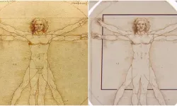 İtalya'nın devlet televizyonu, Leonardo da Vinci'nin eserindeki penisi sansürledi