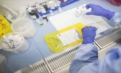 Yaşamın kökeni aydınlanıyor: Laboratuvarda kozmik toz üretildi