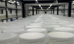 ABD'de "yasa dışı biyolojik laboratuvar" işletildiği şüphesiyle İsrail vatandaşı 1 kişi gözaltına alındı