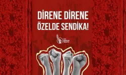CTP Gençlik Örgütü’nden Ektam grevine destek mesajı: Direne direne, özelde sendika!