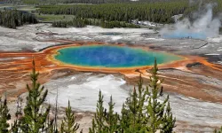 Depremler mikrobiyal patlamaya neden oluyor