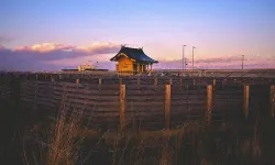 Fukuşima’da 15. yıl: Nükleer felaketin ardından yaralar sarılıyor mu?