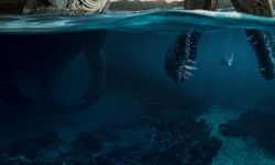 100 tam puanlı belgesel ilk haftasında 10 milyon izleyiciye ulaştı