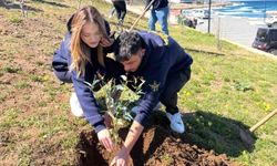 KKTC Fenerbahçeliler Derneği, Şampiyon Melekler Hatıra Ormanı’na fidan dikti