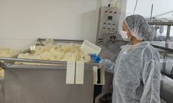 Değirmenlik-Akıncılar Belediyesi'nden gıda denetimi...Süt fabrikası mühürlendi