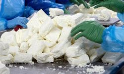 Süt Ürünleri İmalatçıları Birliği’nden önlem çağrısı