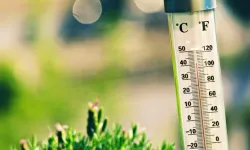 Süper El Nino kapıda: Sıcaklık rekorları alt üst olabilir