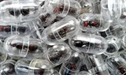 Kenya'da bir Çinli, 2 bini aşkın kraliçe karıncayı kaçıracakken yakalandı