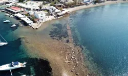 Bodrum'da deniz çekildi, tarihi kalıntı ortaya çıktı