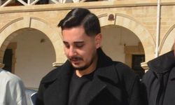 Köpekleri gümrüğe bildirmedi, sahte belge verdi