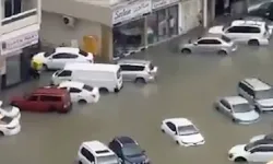 BAE'nin Şarika kentinde şiddetli yağışlar nedeniyle araçlar su altında kaldı