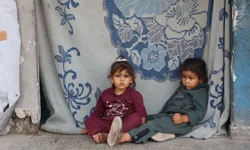 Gazze kamplarında haşere istilası. Çocukları fareler ısırıyor