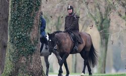 Eski Prens Andrew hakkında sarayda kavga iddiası