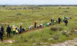 Mesarya bölgesinde 1000 fidan dikildi