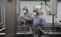 Değirmenlik Akıncılar Belediyesi Sağlık Şubesi, 81 iş yerini denetledi