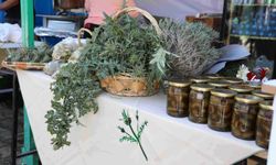 13. Yiğitler Gafgarıt Festivali yapıldı