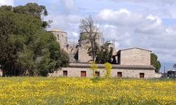 Kültürel Miras Teknik Komitesi, St. Barnabas Manastırı’nda bulunan kilise binasında çalışma başlattı