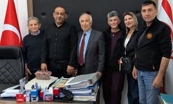 Yeşilırmak Çilek Festivali 9-10 Mayıs tarihlerinde yapılacak